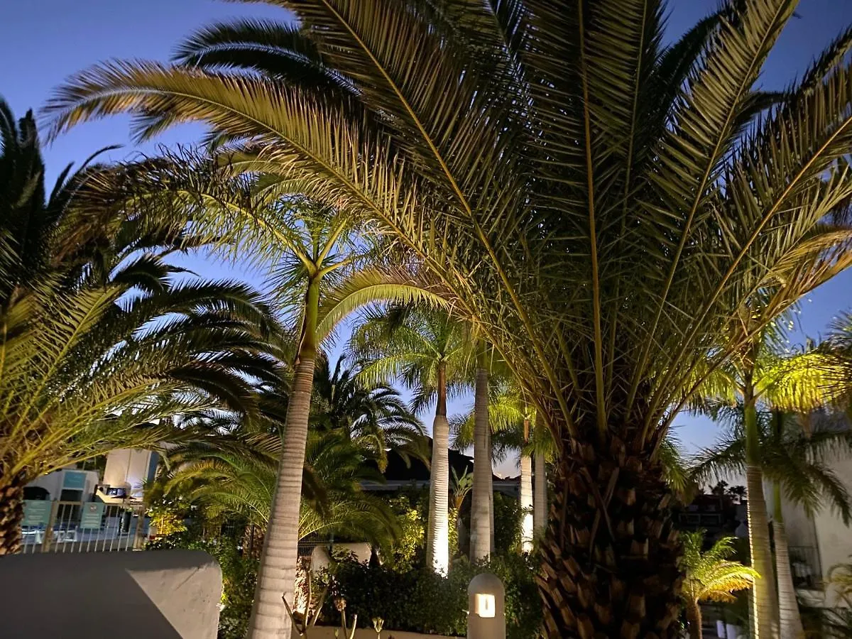 Apartment Adeje Paradise Resort Costa Adeje  Spain